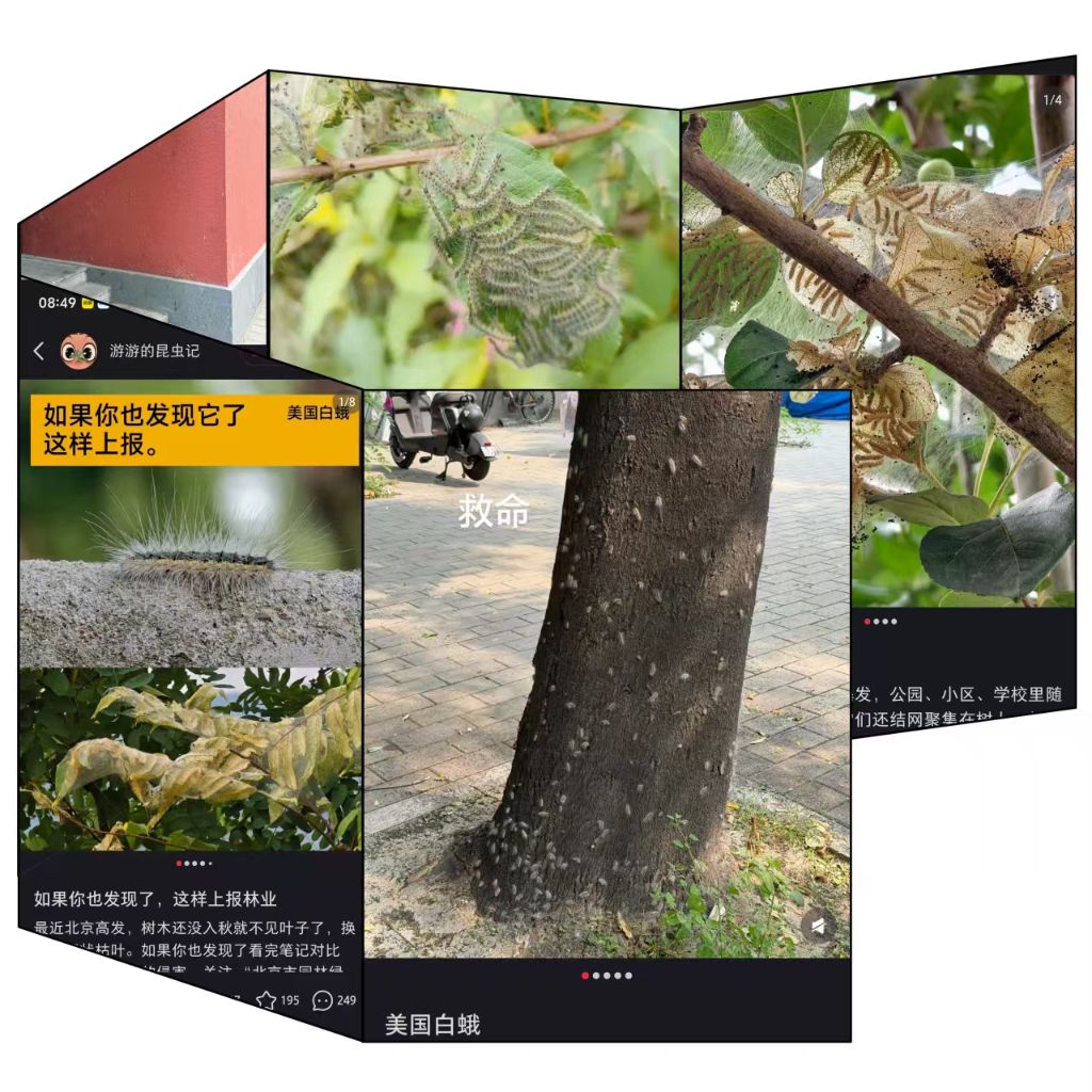 毛孩子们的欢乐日常，你跟上了吗？ - 九游9