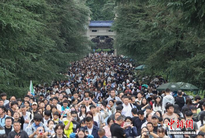 毛孩子们的欢乐日常，你跟上了吗？ - 九游9